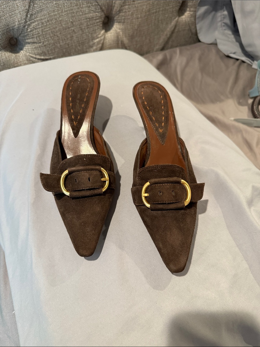 Bandolino Dark Brown Suede Pointed Mule with Gold Buckle Accent
